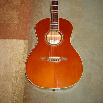 Wechter NV5413 Parlor Nashville image 1