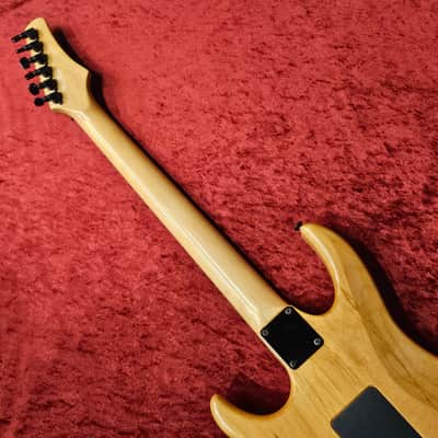 HAMER USA Diablo GDBS-B-N [GSB019] image 10