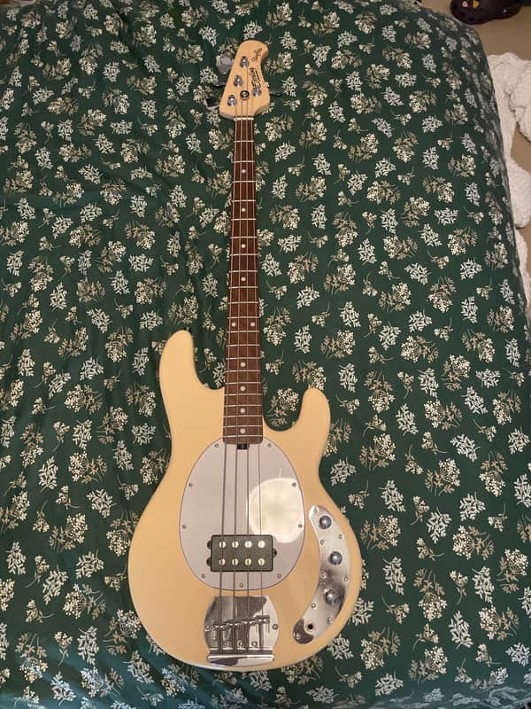 【美品】Sterling by Music Man Sub Ray4 アイボリー Sterling SUB StingRay Ray4 | Reverb Canada