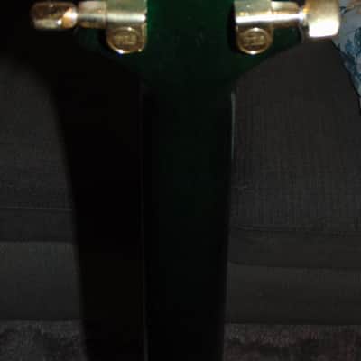 Paul Reed Smith Custom 24 Artist Package Emerald Green w/Birds and OHSC w/OHSC PRS image 5