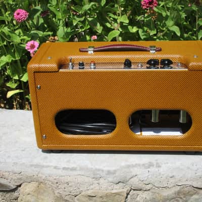 Carl's Custom Amps Classic Reverb Unit Dark Lacquer image 9