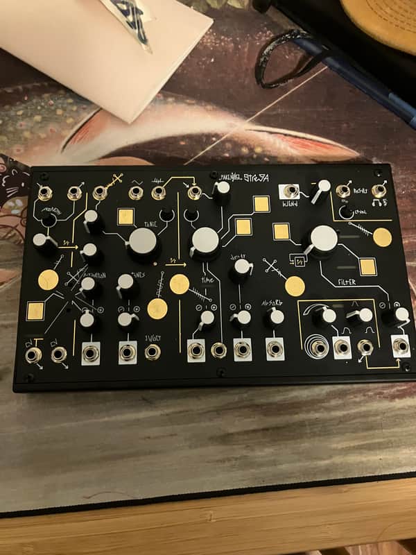 Make Noise Strega Module