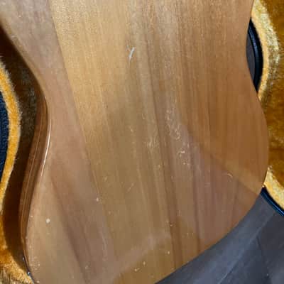 Electra Thinline 70s Telecaster Style image 18