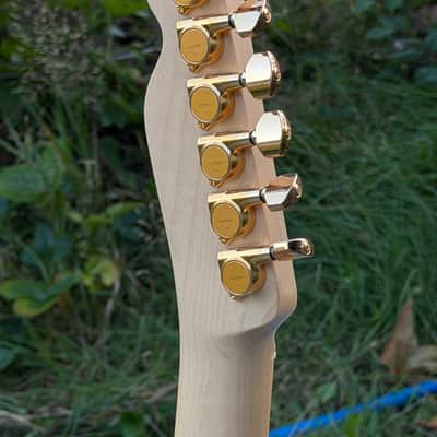 Fender Richie Kotzen Signature Telecaster MIJ 2013 - Present - Brown Sunburst image 5