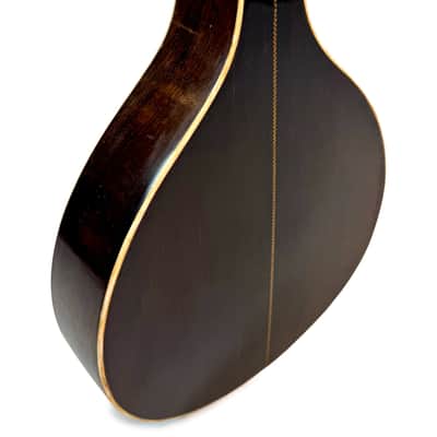 Flat-Back Mandolin Model Luxe Bruno Klemm 1890's / 1900's image 7