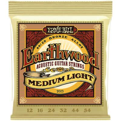 Ernie Ball Earthwood EB2003 .012-054 image 1