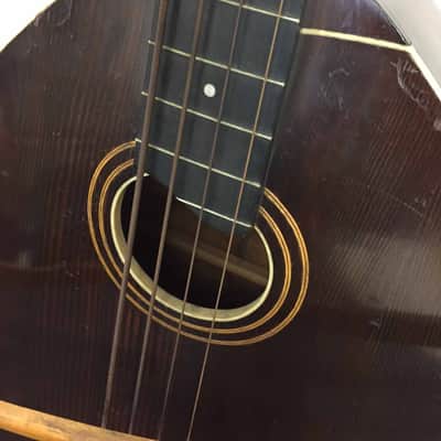 Gibson Mandobass image 6