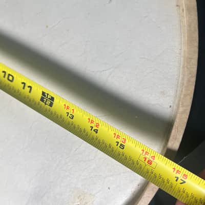 Slingerland Genuine Calf Skin 16" Tom Tom Drumhead (RM3) image 6