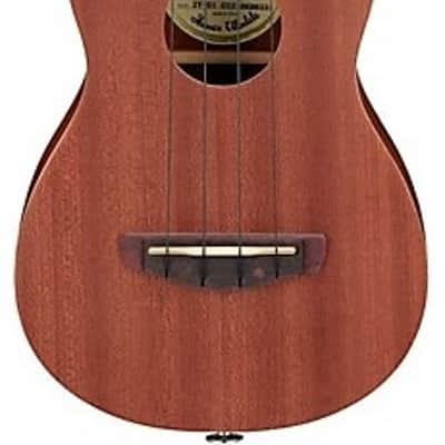 Ibanez UKS100OPN Soprano Ukulele (Open Pore) - With Gigbag image 1