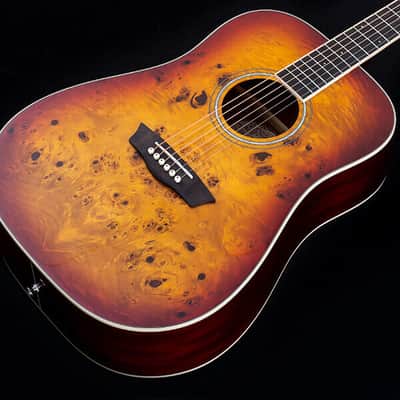 Washburn DFBDA | Deep Forest Burl D, Amber Fade. New with Full Warranty! image 10