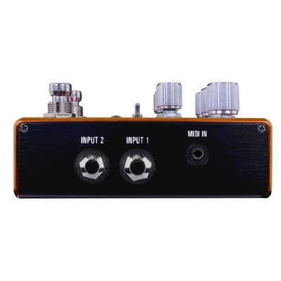 Source Audio Pathways Stereo Reverb & Tremolo Effects Pedal image 3