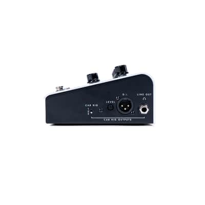 2023 Blackstar - Dept. 10 Amped 1 - 100w Amp Pedal image 4