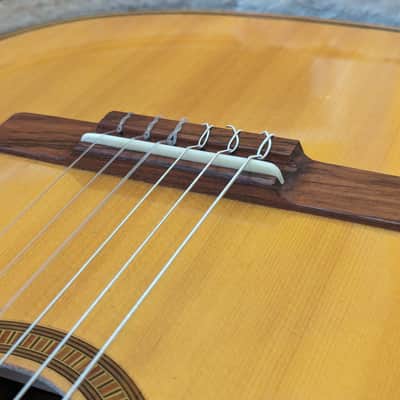 1960s Giannini GN50 Parlour Classical, Brazillian Rosewood, Mahogany image 16