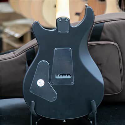 PRS SE Limited Edition Swamp Ash CE24 Sandblasted Blue image 2