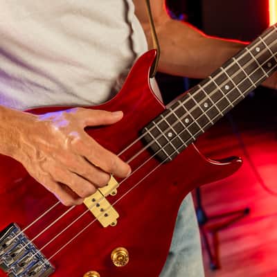 Washburn SB4R | Wing Series Scavenger Electric Bass, Trans Red. New with Full Warranty! image 15