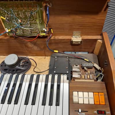 Orla Companion L 5 A Keyboard Orgel Organ image 9