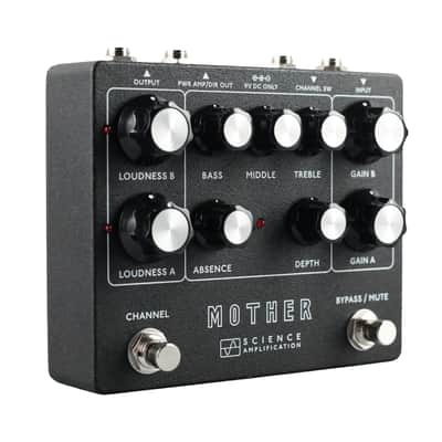 Electronic Audio Experiments / Science Amplification Mother Preamp *Authorized Dealer* FREE Shipping! image 2