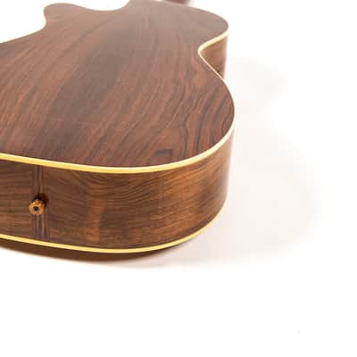 Rockbridge Custom Acoustic Owned by Mike Campbell image 16