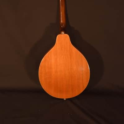 Ventura Mandolin – Excellent Condition! image 12