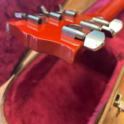 Gibson Les Paul firebrand the Paul deluxe image 6