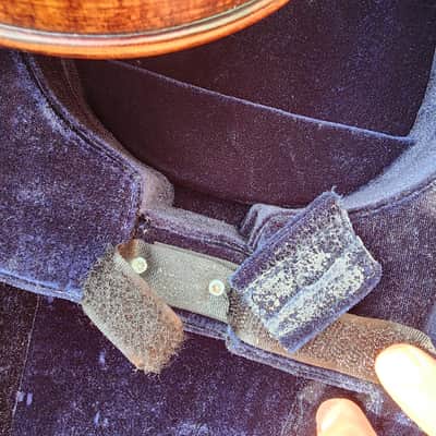 Amati Artisan B 13" Viola image 16
