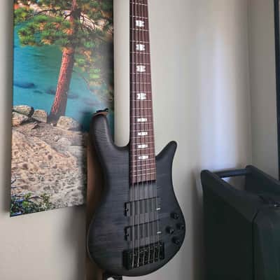 Spector Euro 6 LX - 2021 - Black Stain Matte - Studio kept image 1