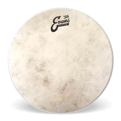 Evans Calftone 12", TT12C7 Tom Batter / Snare Batter - Tom Head image 1