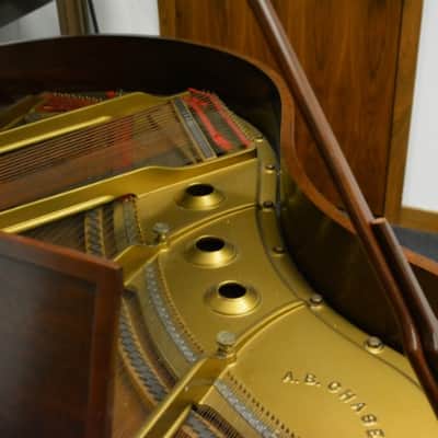 Chase Baby Grand Piano by AB Chase Piano Company image 5