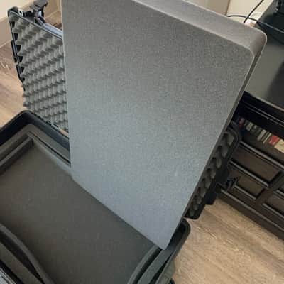 Temple Audio with Truetone CS6 and Pelican 1615 case Duo 24 image 5