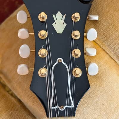 Gibson EM200 1963 - Sunburst image 2