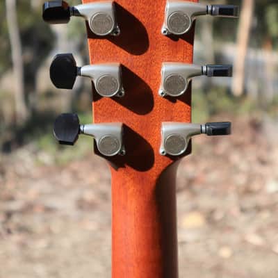 Furch Yellow Plus G-CP w/ LR Baggs Stagepro Anthem Pickup System image 11