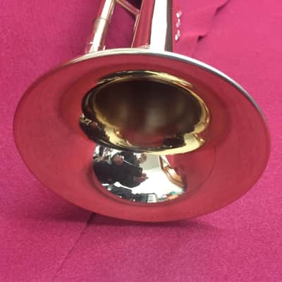 Monique Trumpet 2020's - Brass image 6
