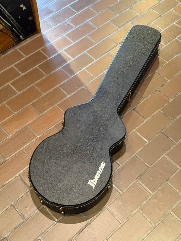 Ibanez AGB100C Bass Case for the AGB140 - excellent condition imagen 1