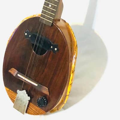 Turtle Shell acoustic/electric dulcimer guitar image 5