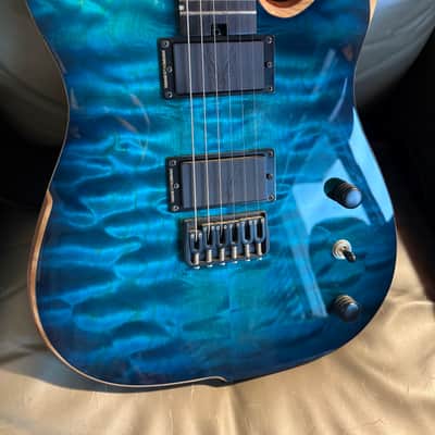 Hufschmid Telecaster Custom 2017 - Bengal Blue image 2