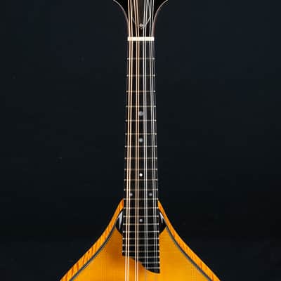 Collings MT2 Honey Amber Adirondack Spruce and Flamed Maple Mandolin NEW image 9