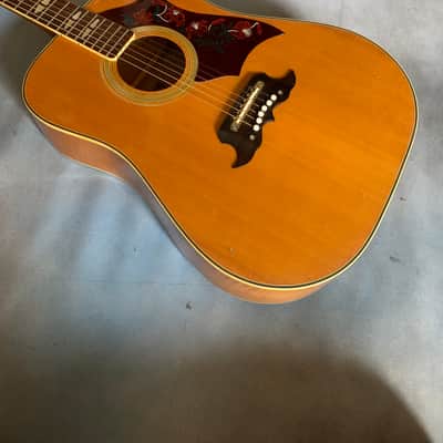 1970 Terada FW-504 Hummingbird Acoustic Guitar MIJ image 9