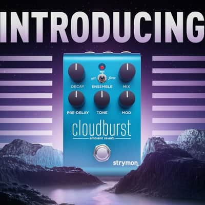 Strymon Cloudburst Reverb image 22
