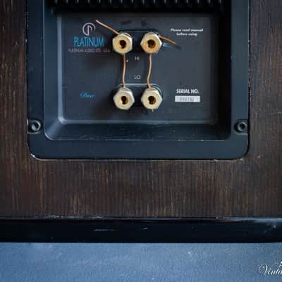Platinium Duo image 8