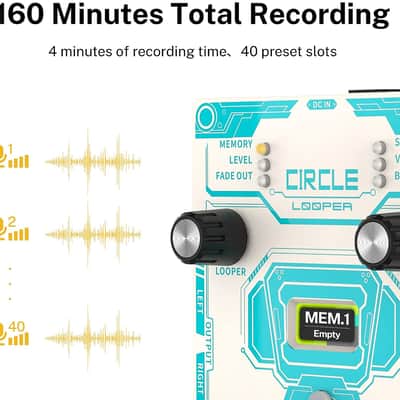 Circle LOOPER & Drum Machine Guitar Effect Pedal image 8