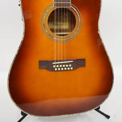 Zager Easy Play ZAD-900CE-12 12-String Acoustic/Electric Guitar image 3