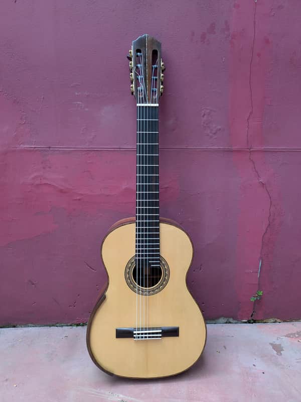 Irineu Cardoso Maia 7-string guitar 2025