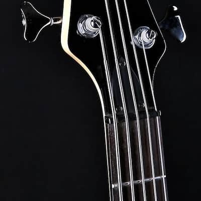 Alvarez Villain Series 5-String bass 1996 image 7
