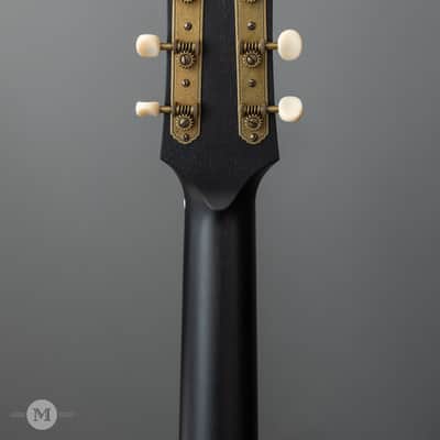 Iris Guitars - OG - All Black - Ivoroid Pickguard - Ivoroid Binding - Flower Pot image 12