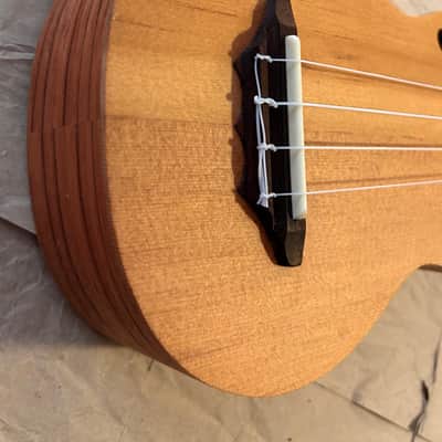 Stagg Soprano Ukulele USX-ROS- S Solid Top F holes and side Soundhole NOS Excellent Condition in original carton box with tags image 4