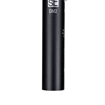 SE ELECTRONICS DM2 Black image 1