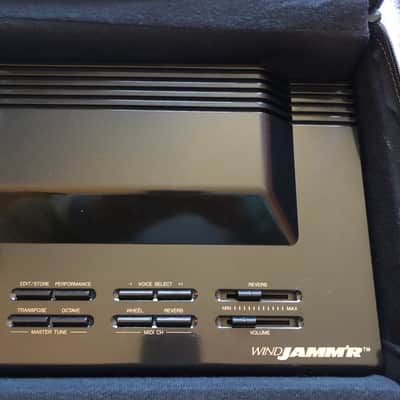 Yamaha EW20 WindJammer Electronic Woodwind with Case image 3