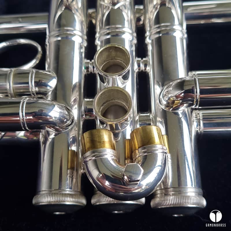 Immagine Bach Stradivarius C 180SL- 229 Chicago large lightweight trumpet case mouthpiece  gamonbrass - 1