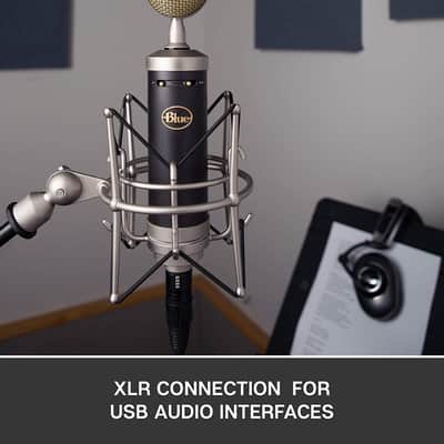 Blue Baby Bottle SL XLR Condenser Microphone for Recording and Streaming, Large-Diaphragm Cardioid C image 4