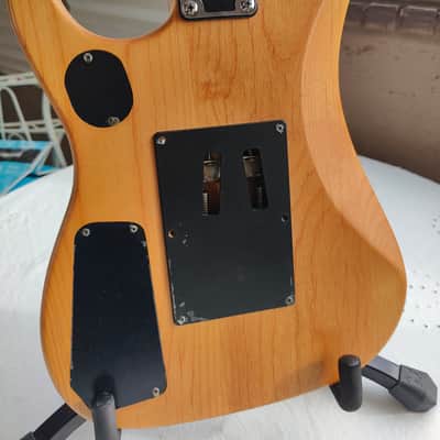 Washburn N2 1996 image 3